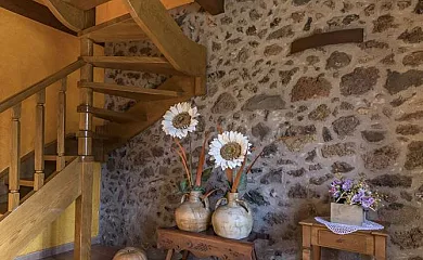 Mas Palleu en Santa Pau (Girona) - Foto 17