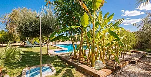 Cortijo de Don Víctor 0016