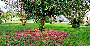 O Eido de Celia 0021