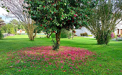 O Eido de Celia en Ponteareas (Pontevedra) - Foto 21