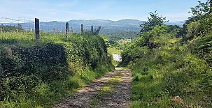 O Eido de Celia 0022