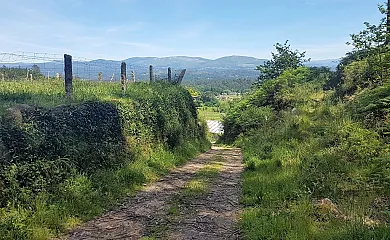 O Eido de Celia en Ponteareas (Pontevedra) - Foto 22