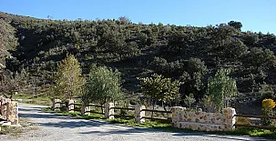 Cortijo Leontino 003