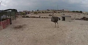 Casas Rurales El Viejo Establo 008