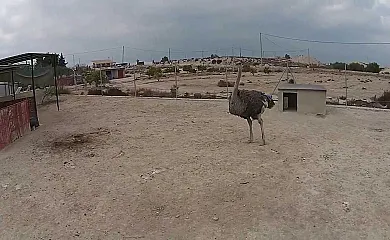 Casas Rurales El Viejo Establo en Fortuna (Murcia) - Foto 8