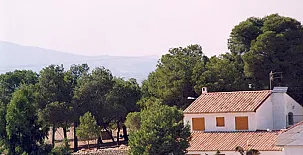 Huerta Pinada I y II 002