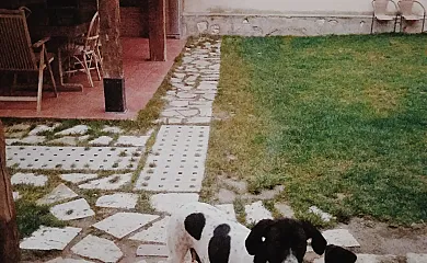 La Casona de Villodrigo I y II en Villodrigo (Palencia) - Foto 9