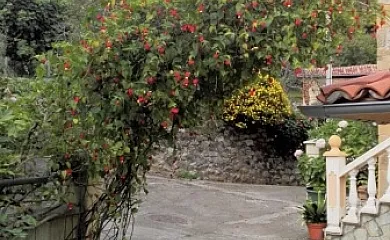 La Viesca en Ponga (Asturias) - Foto 3