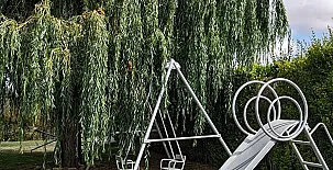 La Casona de Villodrigo I y II 0022