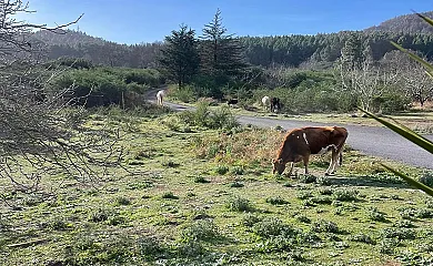 Don Leandro en La Esperanza (Santa Cruz de Tenerife) - Foto 5