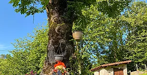 Apartamentos Rurales La Caviana 0023