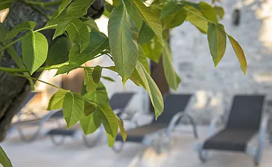 Cal Rovira en Malgrat (Lleida) - Foto 10