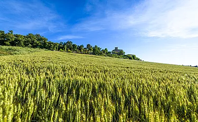 Cal Rovira en Malgrat (Lleida) - Foto 14