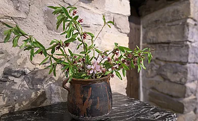 Cal Rovira en Malgrat (Lleida) - Foto 17