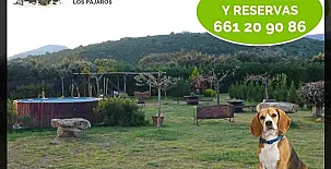 Finca Los Pajaros 006