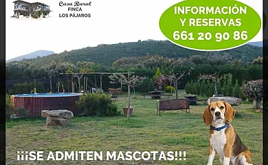 Finca Los Pajaros en Navahermosa (Toledo) - Foto 6