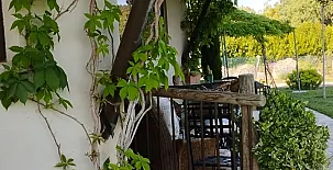 Finca Los Pajaros 0029