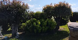 Finca Los Pajaros 0035