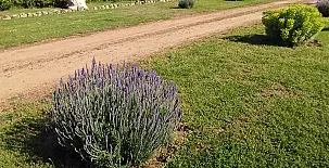 Finca Los Pajaros 0044