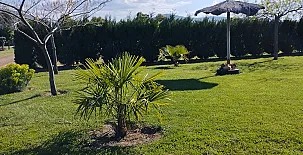 Finca Los Pajaros 0046