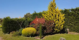 Finca Los Pajaros 0048