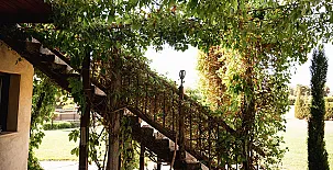 Finca Los Pajaros 0050