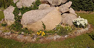 Finca Los Pajaros 0053