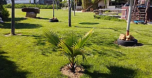 Finca Los Pajaros 0055