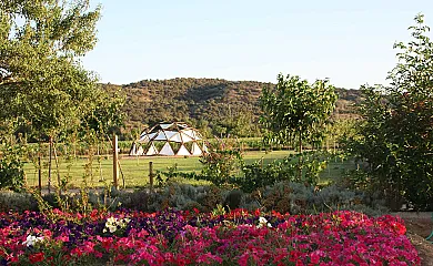 Marialba en Toro (Zamora) - Foto 5