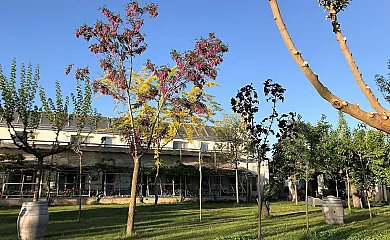 Marialba en Toro (Zamora) - Foto 10