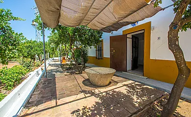 Hacienda San Jose en Carmona (Sevilla) - Foto 3