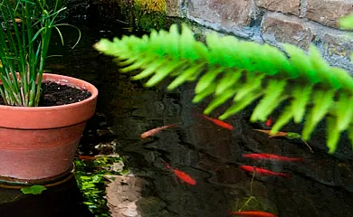 Casa El Pajar en Orisoain (Navarra) - Foto 24