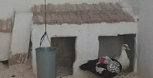 Casas Rurales Cortijo La Cañada 0010