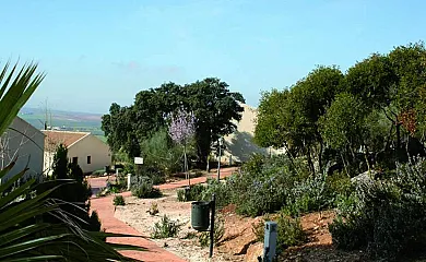 Casas Rurales Cortijo La Cañada en Estepa (Sevilla) - Foto 13