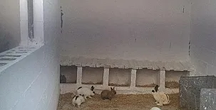 Casas Rurales Cortijo La Cañada 0015