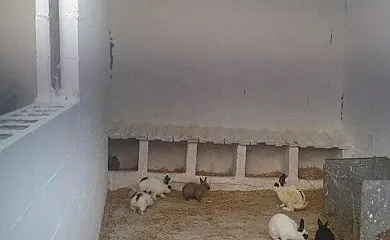 Casas Rurales Cortijo La Cañada en Estepa (Sevilla) - Foto 15