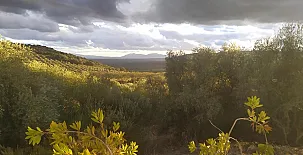 Casas Rurales Cortijo La Cañada 0017