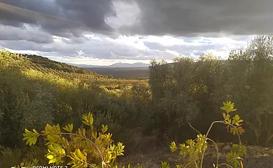 Casas Rurales Cortijo La Cañada en Estepa (Sevilla) - Foto 17