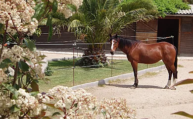 Casa Rural Mariona en Santa Cristina D´Aro (Girona) - Foto 3