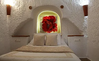 Cuevas Hammam Abuelo Jose en Guadix (Granada) - Foto 4