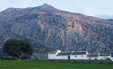 Cortijo Los Lobos en Villanueva Del Trabuco (Málaga) - Foto 2