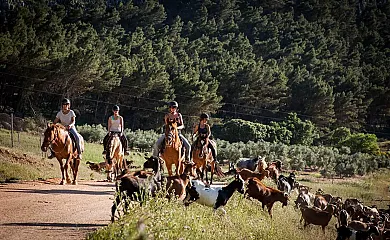 Cortijo Los Lobos en Villanueva Del Trabuco (Málaga) - Foto 4