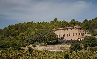 Son Brull Hotel & Spa en Pollença (Baleares) - Foto 4