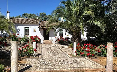 Finca Las Mesas en Cumbres Mayores (Huelva) - Foto 3