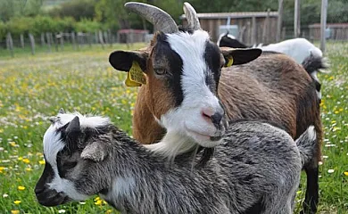 Casa Artorena en Lizaso (Navarra) - Foto 6