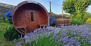 El Bosque de las Viñas 002