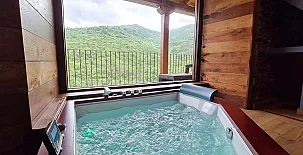 El Bosque de las Viñas 003