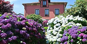 Hotel Rural El Algaire 005