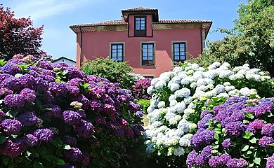 Hotel Rural El Algaire en Salas (Asturias) - Foto 5