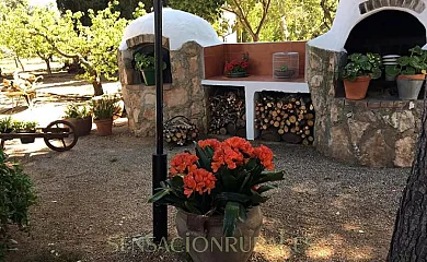 El Nostre Càntir en L´Ametlla de Mar (Tarragona) - Foto 4